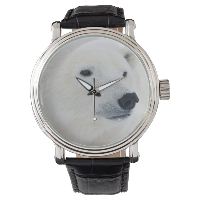 Polar Bear Churchill Watch (Front)