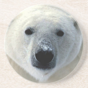 Polar Bear Coaster