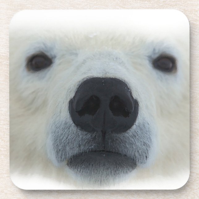 Polar Bear Coaster (Front)
