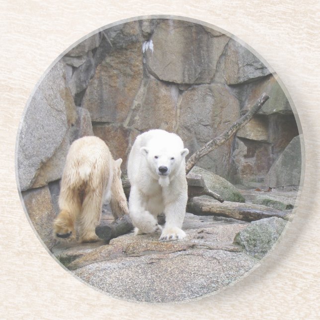 POLAR BEAR coaster (Front)