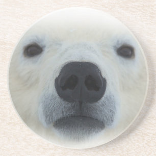 Polar Bear Coaster