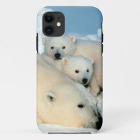 Polar bear cub 1