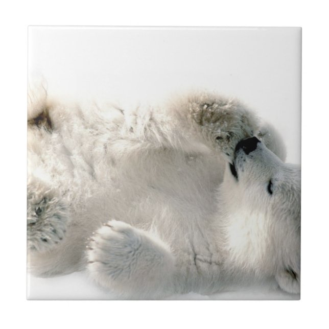Polar Bear Cub Cute Animal Arctic Frozen Winter Ceramic Tile (Front)