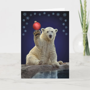 Polar Bear Cub Holiday Card