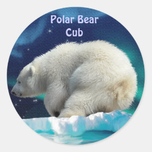 Polar Bear Cub & Northern Lights Classic Round Sticker