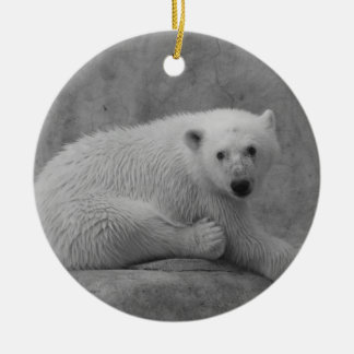 Polar Bear Cub Ornament