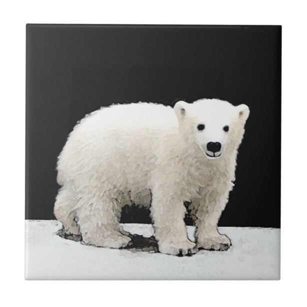 Polar Bear Decorative Ceramic Tiles | Zazzle.com.au