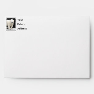 Polar Bear Cub Painting - Original Wildlife Art Envelope