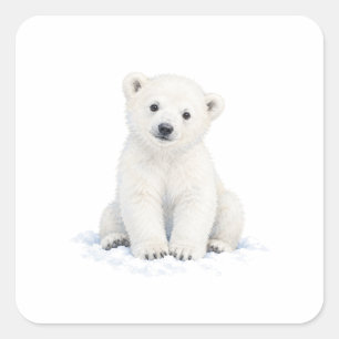 Polar Bear Cub Sitting in Snow Square Sticker