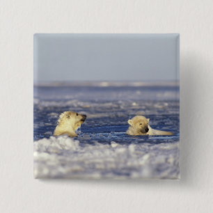 Polar bear cubs playing 15 cm square badge