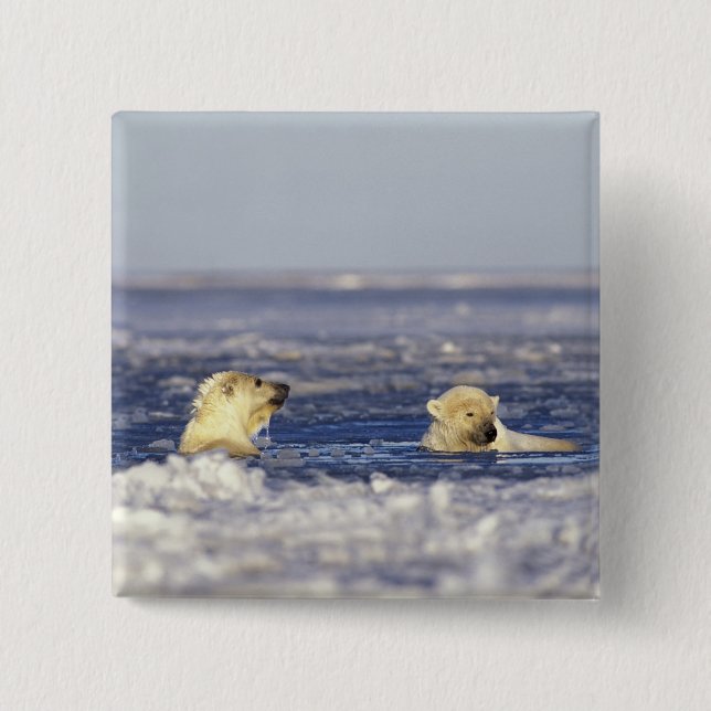 Polar bear cubs playing 15 cm square badge (Front)