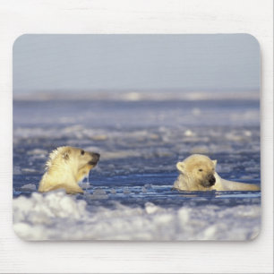 Polar bear cubs playing mouse pad