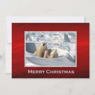 Polar Bear Cubs Snow Photo Christmas Flat Holiday Card