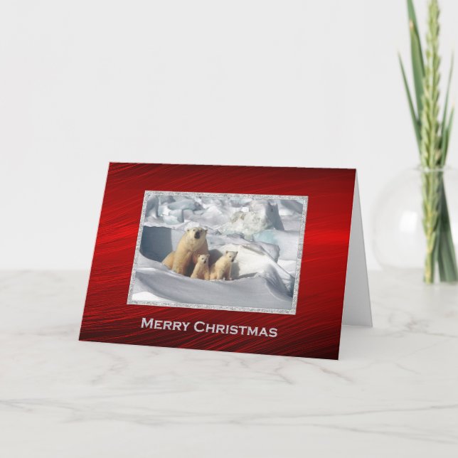 Polar Bear Cubs Snow Photo Christmas Holiday Card (Front)