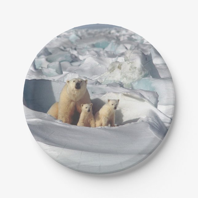 Polar Bear Cubs Snow Photo Paper Plate (Front)