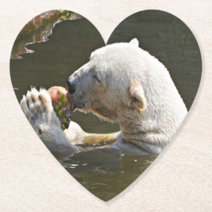 Polar Bear Eating Fruit Capture Paper Coaster