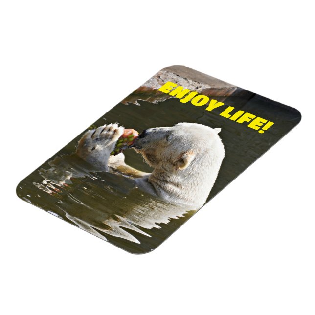Polar Bear Eating Fruit In Water Magnet (Left Side)