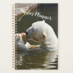 Polar Bear Eating Fruit In Water Planner