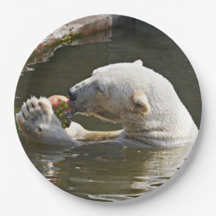 Polar Bear Eating Fruit Moment Paper Plate