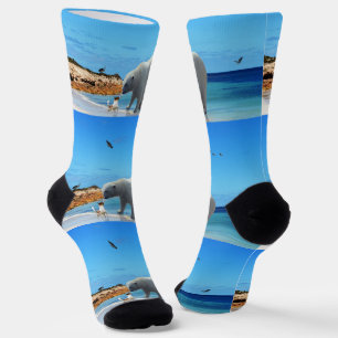 Polar Bear Encounter, Crew Socks