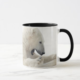 Polar bear engaging in a fight with another bear mug