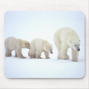 Polar Bear Family Mousepad