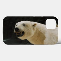 Polar Bear Grin