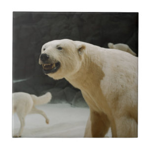Polar Bear Grin Ceramic Tile
