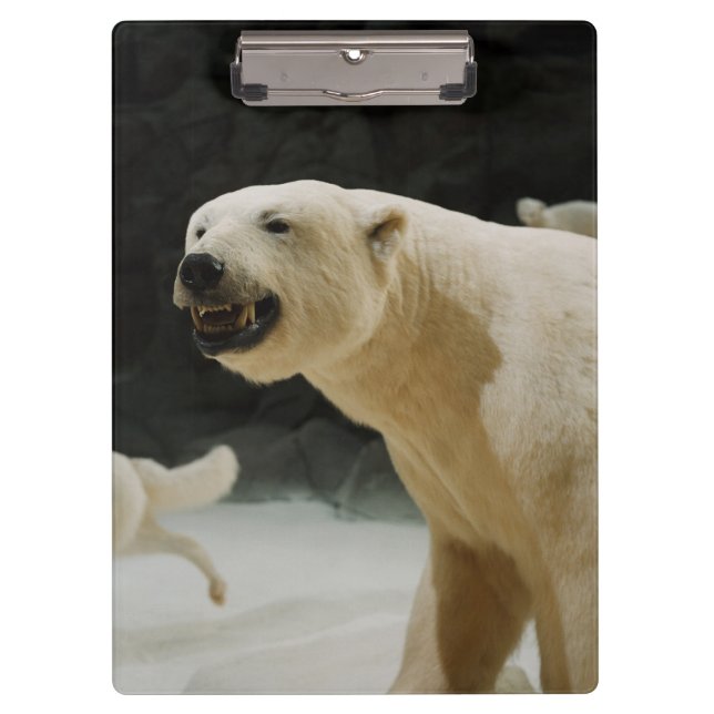 Polar Bear Grin Clipboard (Front)