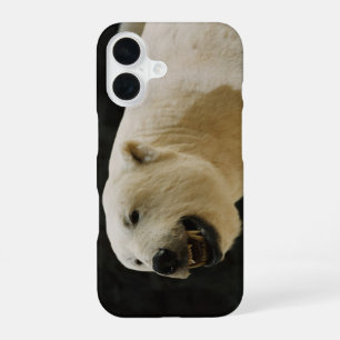 Polar Bear Grin iPhone 16 Case