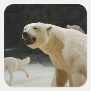Polar Bear Grin Square Sticker
