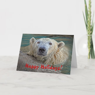 Polar Bear Happy Holidays! Holiday Card