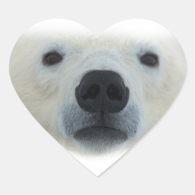 Polar Bear Heart Sticker (Front)