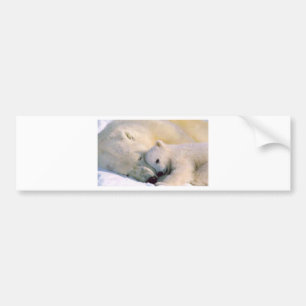 Polar Bear Hugs Bumper Sticker