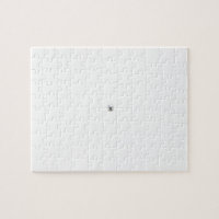 Polar Bear in a Snow Storm