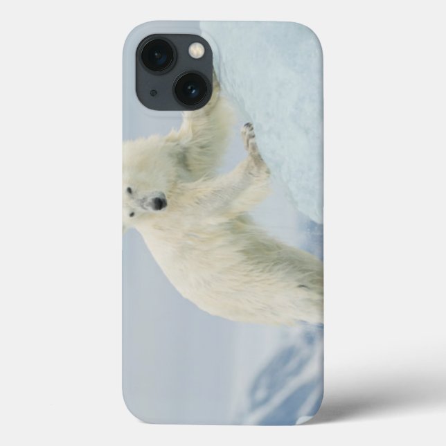 Polar bear in summer Case-Mate iPhone case (Back)