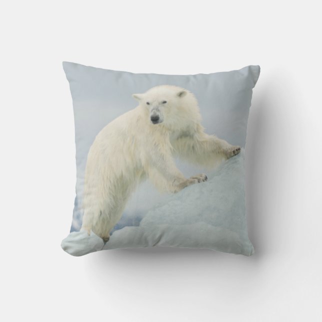 Polar bear in summer cushion (Front)
