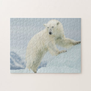 Polar bear in summer jigsaw puzzle