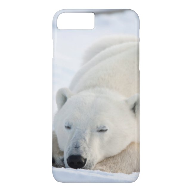 Polar Bear in winter Case-Mate iPhone Case (Back)