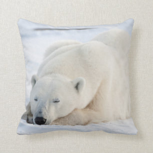Polar Bear in winter Cushion