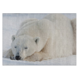Polar Bear in winter Cutting Board