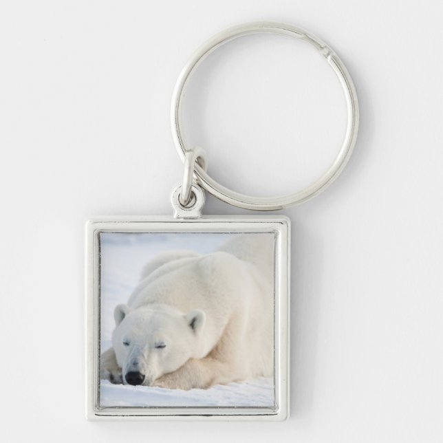 Polar Bear in winter Key Ring (Front)