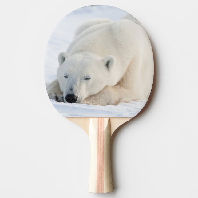 Polar Bear in winter Ping Pong Paddle (Front)