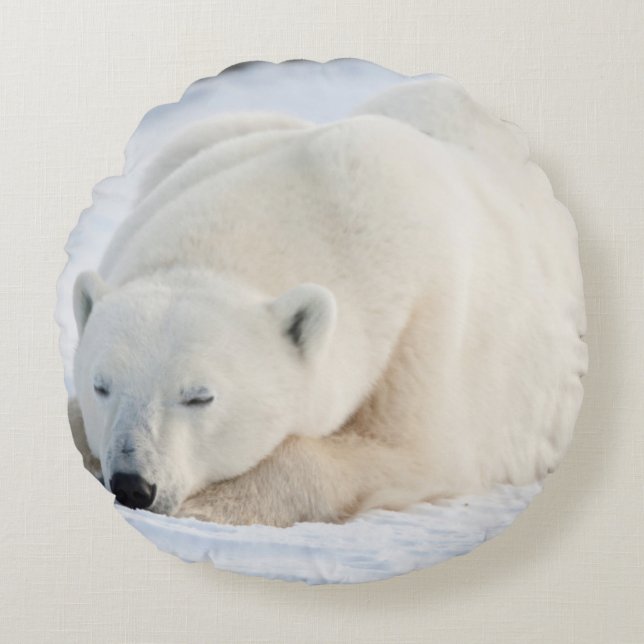 Polar Bear in winter Round Cushion (Front)