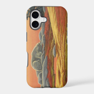 Polar Bear IPhone 5 Case Wildlife Art Bear Gifts