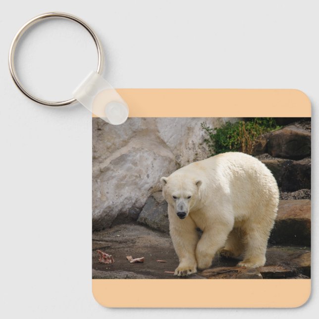 polar bear key ring (Front)