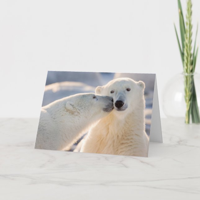 Polar Bear Kiss Holiday Card (Front)