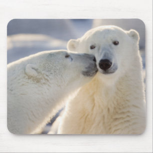 Polar Bear Kiss Mouse Pad