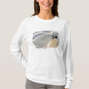 Polar Bear Kiss T-Shirt