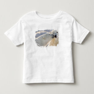 Polar Bear Kiss Toddler T-Shirt